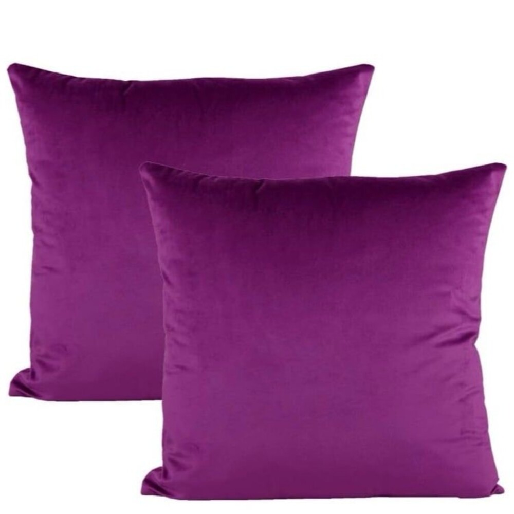 2 Pk Velvet Pillow Covers 20”x20”